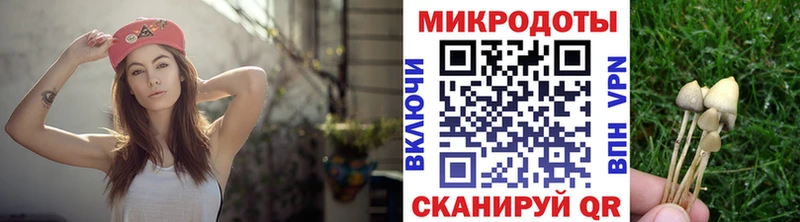 hydra как войти  Данилов  Псилоцибиновые грибы ЛСД 